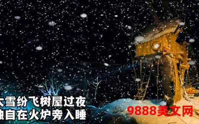 寒夜初雪的小说哪本好看―初雪纷飞的寒夜，悄悄诉说着那些温暖人心的故事