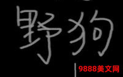 不敢掉马了TXT下载―下载不敢掉马了TXT，阅读最新小说