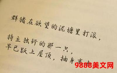 喜欢你没道理小说全文观看―《喜欢你没道理》全文免费阅读